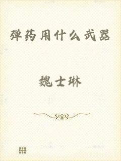弹药用什么武器