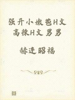 强开小嫩苞H文高辣H文男男
