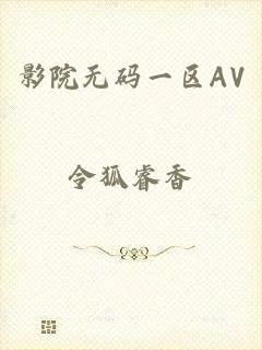 影院无码一区AV