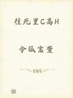往死里C高H
