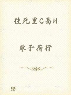 往死里C高H