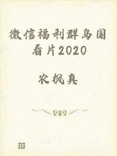 微信福利群岛国看片2020