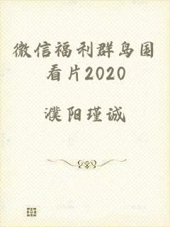 微信福利群岛国看片2020