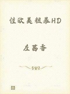 性欧美粗暴HD
