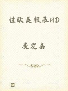 性欧美粗暴HD