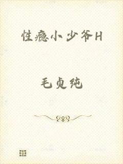 性瘾小少爷H