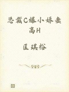 总裁C爆小娇妻高H