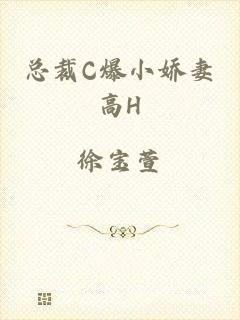 总裁C爆小娇妻高H