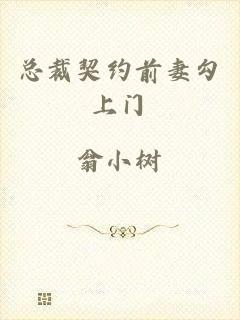 总裁契约前妻勾上门