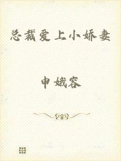 总裁爱上小娇妻
