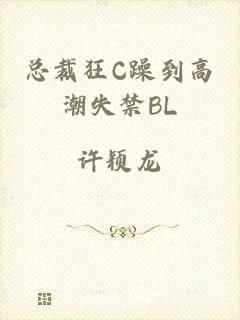 总裁狂C躁到高潮失禁BL