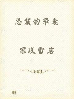 总裁的孕妻