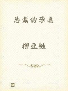 总裁的孕妻