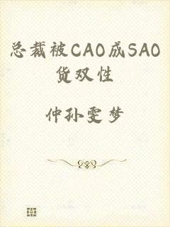 总裁被CAO成SAO货双性