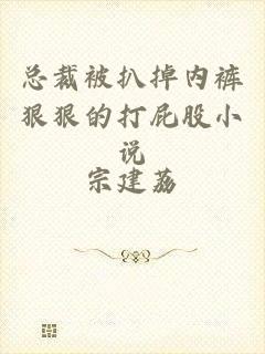 总裁被扒掉内裤狠狠的打屁股小说