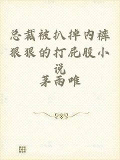 总裁被扒掉内裤狠狠的打屁股小说