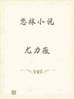 恋袜小说