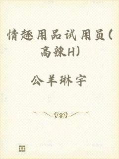 情趣用品试用员(高辣H)