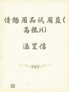 情趣用品试用员(高辣H)