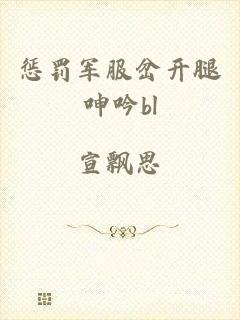 惩罚军服岔开腿呻吟bl