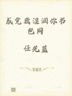 感觉我湿润你书包网