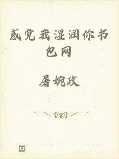 感觉我湿润你书包网