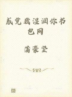 感觉我湿润你书包网