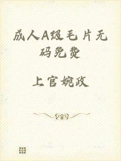 成人A级毛片无码免费