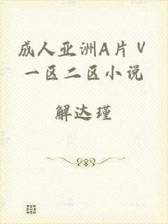 成人亚洲A片Ⅴ一区二区小说
