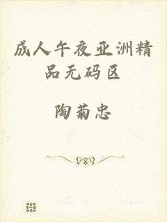 成人午夜亚洲精品无码区
