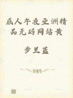 成人午夜亚洲精品无码网站黄