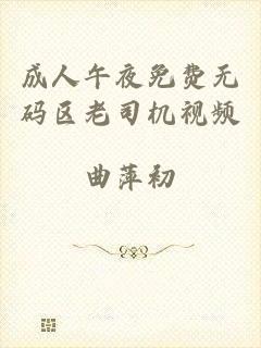 成人午夜免费无码区老司机视频