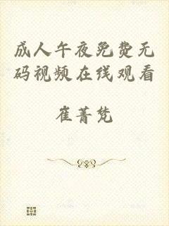 成人午夜免费无码视频在线观看