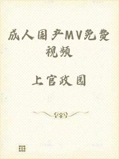 成人国产MV免费视频