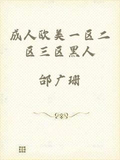 成人欧美一区二区三区黑人