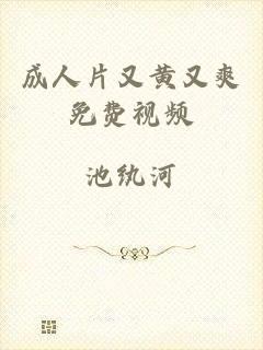 成人片又黄又爽免费视频