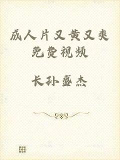 成人片又黄又爽免费视频