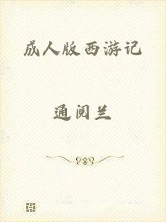 成人版西游记
