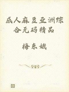 成人麻豆亚洲综合无码精品