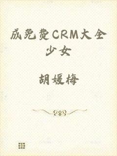 成免费CRM大全少女