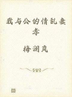 我与公的情乱妻孝