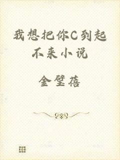我想把你C到起不来小说