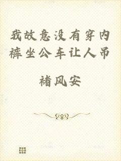 我故意没有穿内裤坐公车让人吊