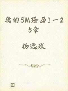 我的SM经历1一25章