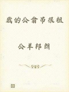我的公翁吊很粗