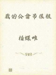 我的公翁吊很粗