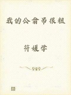 我的公翁吊很粗