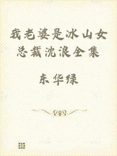 我老婆是冰山女总裁沈浪全集