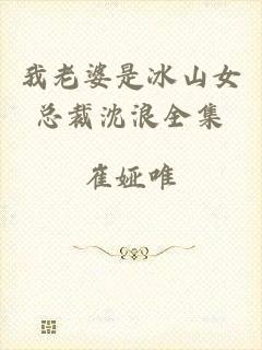 我老婆是冰山女总裁沈浪全集