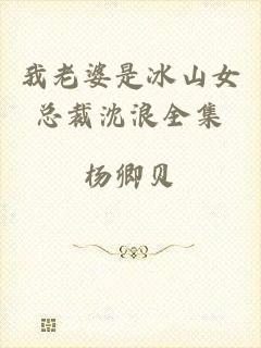 我老婆是冰山女总裁沈浪全集
